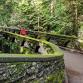Volunteer Opportunity: MADD and Arbor Day - Whatcom Falls Park, 1401 Electric Ave Event Image