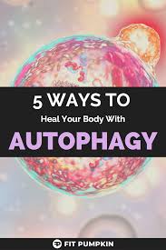 5 Ways To Boost Autophagy To Heal Your Body Fit Pumpkin Healing Body Natural Healing Remedies