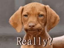 Some dogs are born fat, some achieve fatness, others have fatness thrust upon them. Really Fat Dog Gifs Tenor