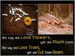 The flower wire service enabled florists to exchange orders with other florists across the country making it possible to send mothers flowers from afar. We Say We Love Flowers Yet We Pluck Them We Slogansmotto Com