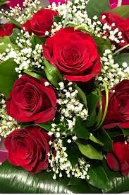 Un mazzo di rose rosse è fra quelli in assoluto più apprezzati, soprattutto fra innamorati. Bunch Of Red Roses Bunch Red Roses Love Rose Flower Beautiful Flowers Amazing Flowers