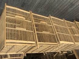 Burung prenjak termasuk burung yang mudah dalam perawatannya dan juga bisa cepat gacor walaupun dirawat dari berikut ini cara merawat burung prenjak bahan/bakalan agar cepat gacor demikian sedikit informasi tentang cara cepat untuk membuat gacor burung prenjak bahan/bakalan. Penemuan Hari Ini Aturan Sangkar Burung New Mbot S Hq