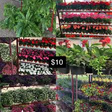 Maybe you would like to learn more about one of these? Meyers Farms Home Facebook