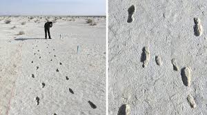 White sands hotel taps into the bamboo bar lounge culture of the early 70s. White Sands National Park S Fossilized Human Tracks Longest In World