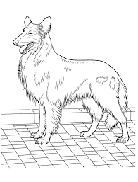 Dog Coloring Pages 22 Teenagers Coloring Pages Dog Coloring Page Dog Coloring Book Horse Coloring Pages