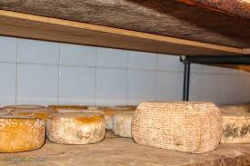 Liste Des Fromages Corses Du Fromage Frais Au Fromage Affine
