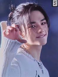 Heyy my name is Sophie and I didn't want to show what I looked like so I  just sent a pic of hyunjin