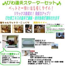 びわの葉温灸が売れています 夢とgoing イヌトゴ Staff Blog