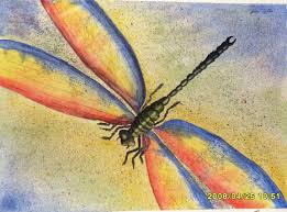 Black And Yellow Dragonfly Canada Dragonfly Dragonfly Images Artist Painting