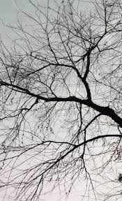 You can also upload and share your favorite aesthetic patterns wallpapers. Patterns Aesthetic