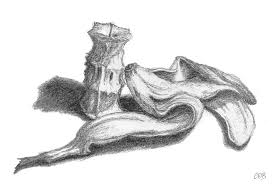 Simply pull the string and unwrap paper to reveal more black charcoal. Core And Skin Sketch Drawing By Conor O Brien