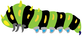 Download from thousands of premium caterpillar illustrations and clipart images by megapixl. Caterpillar Clipart Free Download Transparent Png Creazilla