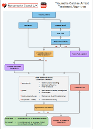 Clinically, the patient is unresponsive, not breathing or only gasping, and there is no detectable pulse. Episode 28 Lost Phemcast