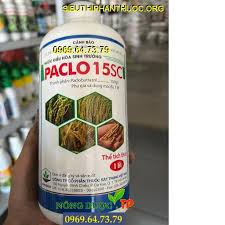 Paclo 15SC