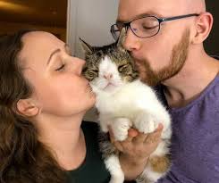 Film Review: #CATS_THE_MEWVIE