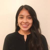 70+ "Nivia" profiles