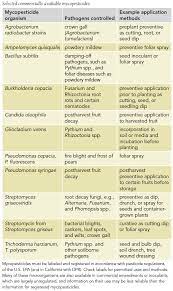 Identify the correct statement about marketing management. Https Www Cdpr Ca Gov Docs License Pubs Plant Agriculture Study Guide Pdf