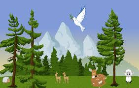 Kumpulan gambar hewan di muka bumi. Hutan Hewan Alam Gambar Gratis Di Pixabay