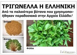 ΤΡΙΓΩΝΕΛΛΑ Η ΕΛΛΗΝΙΚΗ - Zeidoros