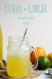 A Homemade Electrolyte Drink Fresh Ginger Citrus Juice And Salt For A Healthier Way To Homemade Electrolyte Drink Electrolyte Drink Electrolyte Drink Recipe