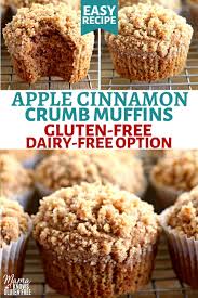 Gluten Free Apple Cinnamon Muffins Dairy Free Muffins Sugar Free Muffins Gluten Free Bakery