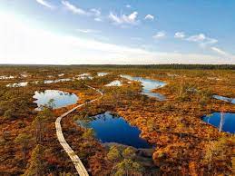 Die letten zählen zu den ostbalten mit folgenden dialekten: Sehenswurdigkeiten In Lettland Lettland Reisen Tipps Von Einem Einheimischen Reiseleiter Escaperies