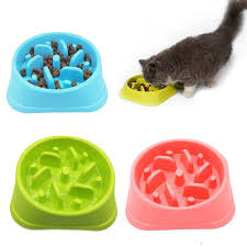 Just like the slow feed dog bowls, cat slow feeders and slow feed cat bowls are designed help in reducing the feeding speed, resulting in if your cat is an einstein, pick a slow feeder with a high difficulty level. Pet Dog Feeder Bowl Anti Choke Dog Bowl Puppy Cat Slow Feeder Interactive Bloat Stop Dog Bowl Large Eating Food Diet Balance Dog Feeding Aliexpress