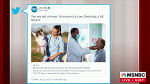 Jul 12, 2021 · ivermectin tablets are an approved by the fda for use in intestinal worms strongyloides stercoralis and onchocerca volvulus. Ivermectin Exposure Calls To Alabama Poison Center Have Doubled