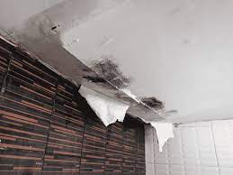 How to fix a leaking roof from inside. How To Fix Leaking Roof From The Inside Roofing Contractors