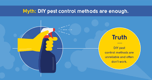 Fortunately, diy pest control is neither expensive nor complicated, it just takes some due diligence. 10 Pest Control Myths You Need To Know The Pest Control Co