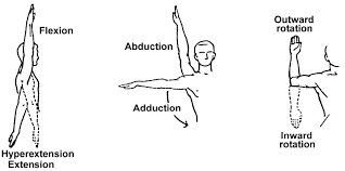 Image result for Shoulder Range of Motion Exercises