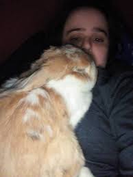 Emma skipped her spring molt. She never misses a molt. Its weird. Im  probably overly concerned but is this common?