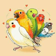 We did not find results for: Los Quiero Todos Soy Bella Parrots Art Cute Birds Animal Drawings