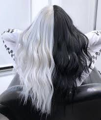 Black And White Hair Color Tag Some One Who Would Love Black And White Hair Credi Split Dyed Hair Aesthetic Hair Hair Dye Colors