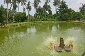 Senarai port pancing air tawar best review berikut adalah merupakan senarai lokasi port pancing air tawar (freshwater fishing gps location) di seluruh malaysia yang popular dan best review. Kolam Pancing Gerenti Strike Umpan