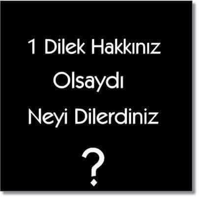 Ne dilerdiniz?