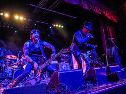 Image result for Dissotis melleri