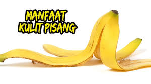 Khasiat ajaib batang pohon pisang yang jarang dilirik masyarakat indonesia. Manfaat Kulit Pisang Youtube
