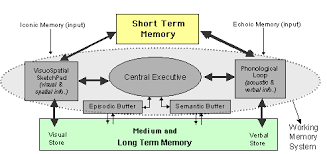 Mind Development The Architecture Of Memory