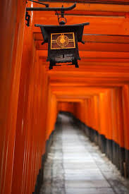 Torii And Lantern Fushimi Inari Taisha Shrine Kyoto Japan Viaggi Giappone Luoghi