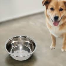 Large Stainless Steel Dog Bowl, Dog Food Bowl, Perfect for Big Dogs, Pet  Feeder Bowls, Gift for Pet Lover, Housewarming Gift for Fur Parents