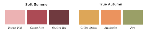 Check spelling or type a new query. Soft Autumn A Comprehensive Guide The Concept Wardrobe