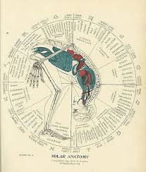 Ormsby Law and the Prophets 1900 MEDICAL ASTROLOGY esoteric occult  philosophy
