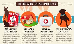 We are passionate about creating and growing great relationships with every pet and petparent we serve. Protect Your Family Your Home With These Pet Fire Safety Tips Pet Clinic Pet Safety Fire Safety Tips