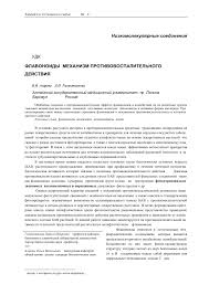 Image result for Pseudoeriosema borianii
