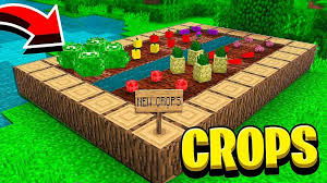 Magical crops mod allows players to plant most of vanilla items and ores such as iron, gold, diamond ore, bones, wither skulls, quartz, etc as well as many other types of mod ores such as copper, silver, sapphire, ruby, sunstone, manganese. Magical Crops Addon Mod Minecraft Pe Bedrock Addons Minecraft Pe Bedrock Mods