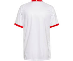 Momentan spielen die türkischen kicker um ayhan. Nike Turkei Heimtrikot 2021 Ab 59 79 Preisvergleich Bei Idealo De