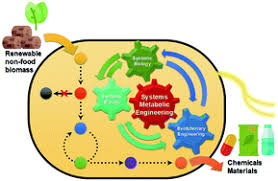 The most recent north korean nuclear test was in 2017, when the u.n. Tools And Strategies Of Systems Metabolic Engineering For The Development Of Microbial Cell Factories For Chemical Production Chemical Society Reviews Rsc Publishing