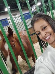 Learning to ride horses for beginners?