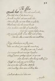 Donne The Flea Writing Poetry Poetry John Donne